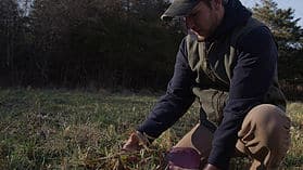 Read more about the article Advanced Fall Food Plots