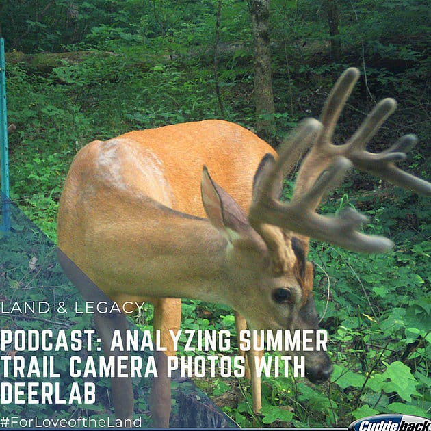Podcast:  Analyzing Trail Camera Photos with DeerLab