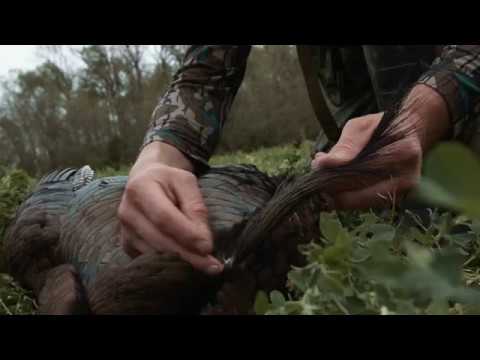 Read more about the article Film 1 – Teaser Land Management and Spring Turkey Hunting