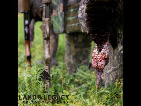Read more about the article Land & Legacy Film 1- Missouri Turkey Double and Spring Habitat Management