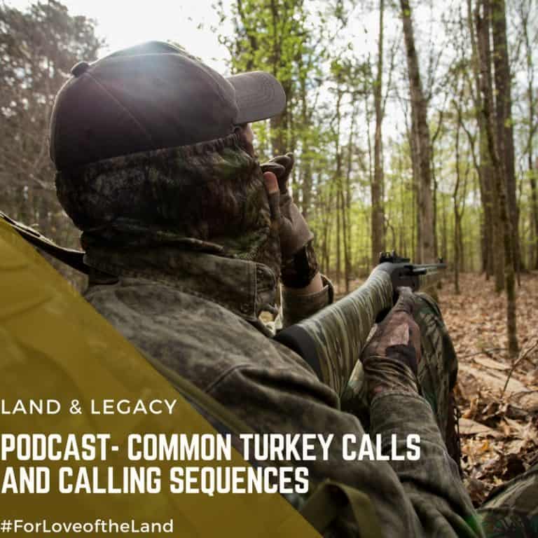 Podcast Common Turkey Calls and Calling Sequences Land & Legacy
