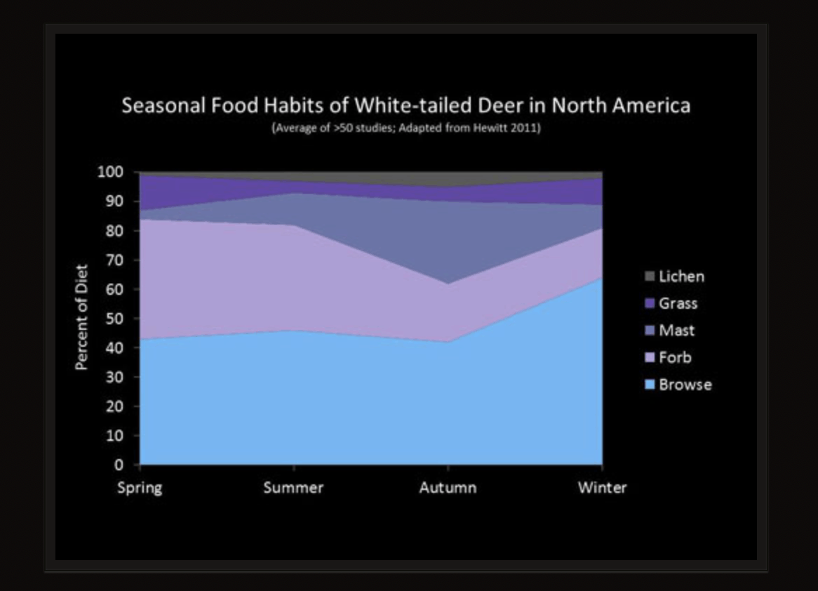 What do deer eat?