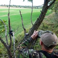 You are currently viewing Why You Shouldn’t Hunt Mornings During the Early Season