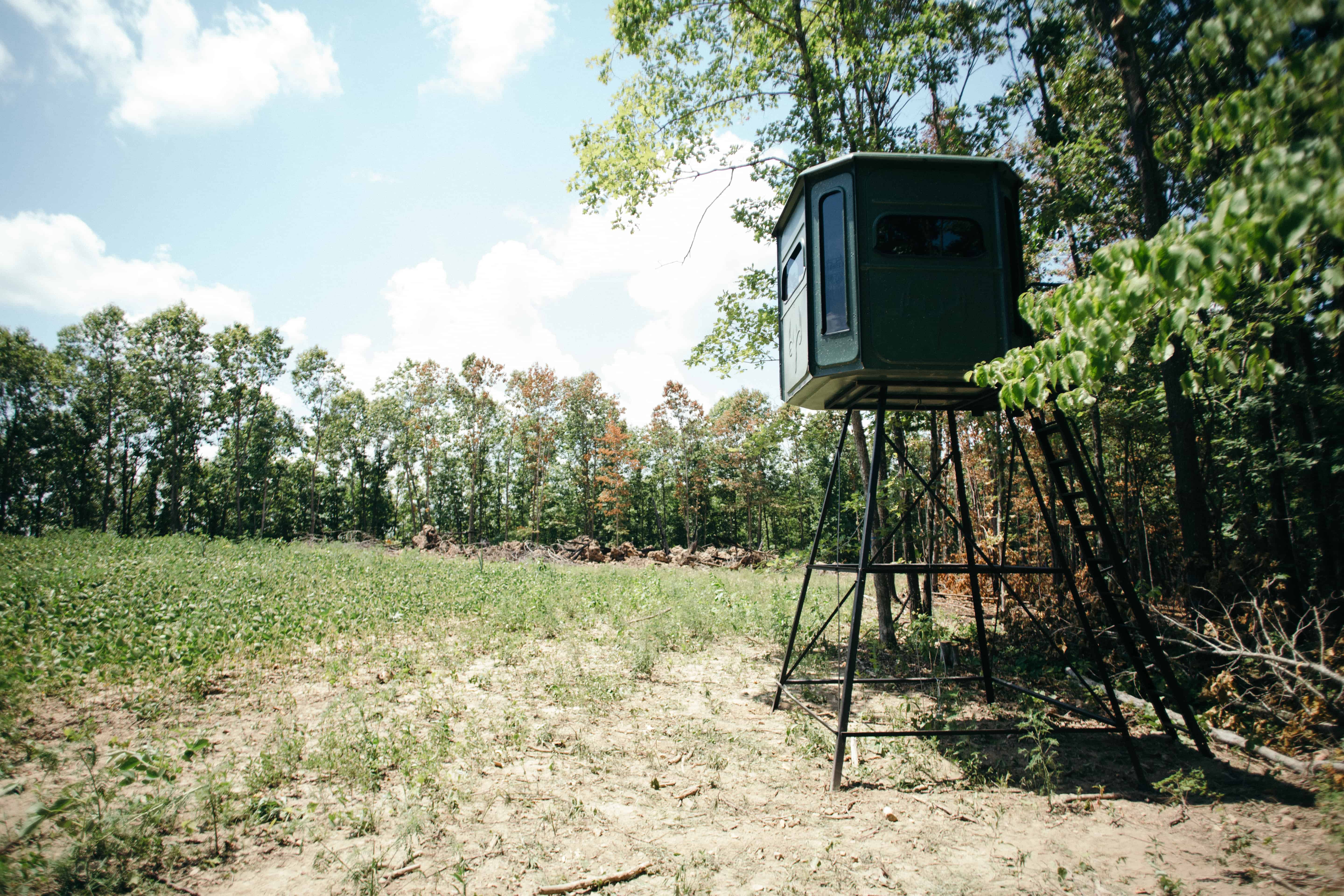 Read more about the article Podcast: Tips for Bowhunting Small Properties