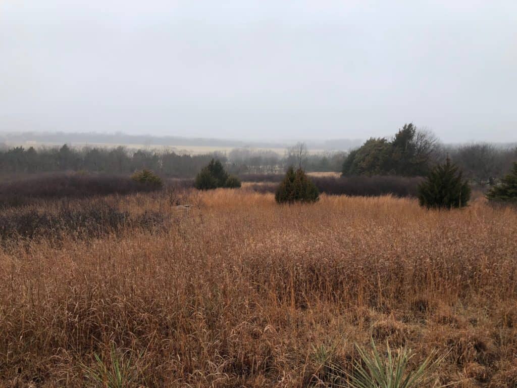 Habitat Heros 122 Next Level Habitat Shrubs Land & Legacy