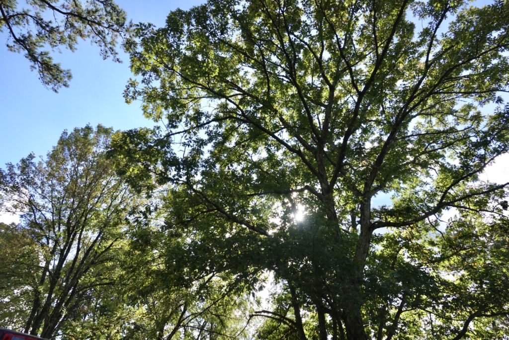 For Love of the Land 32 Top Picks for Land & Legacy Land & Legacy