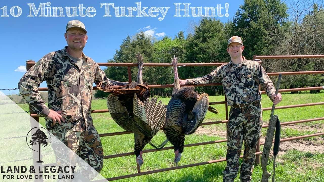 Read more about the article 10 Minute Turkey Hunt! Bully Jakes and Weary Toms