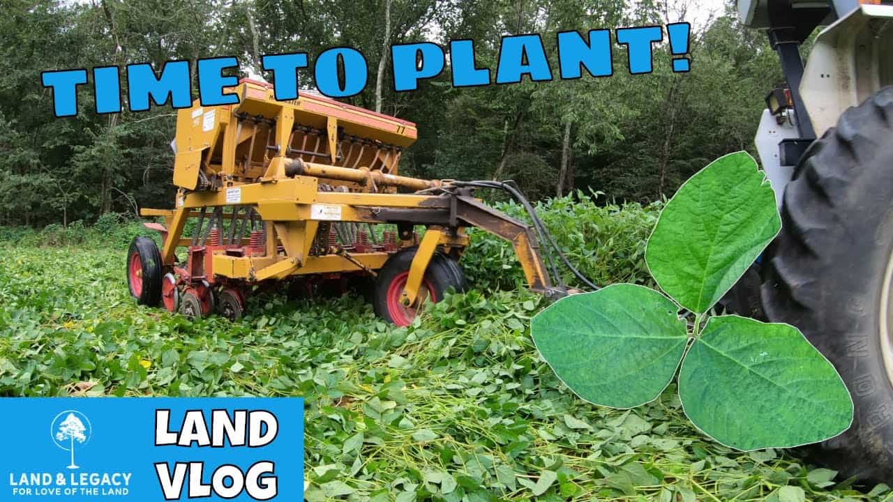 Read more about the article Fall Food Plot Planting in Standing Soybeans- Greens and Grain