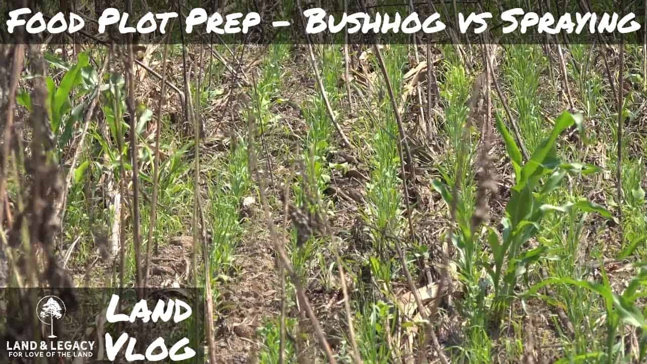 Read more about the article Food Plot Prep- Bush Hogging, Drilling, and Spraying