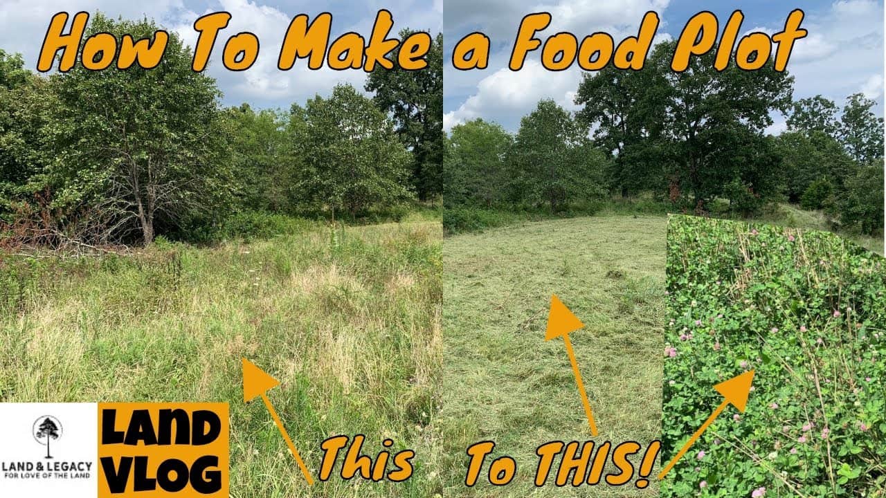 Read more about the article How to Make a Food Plot – Site Prep