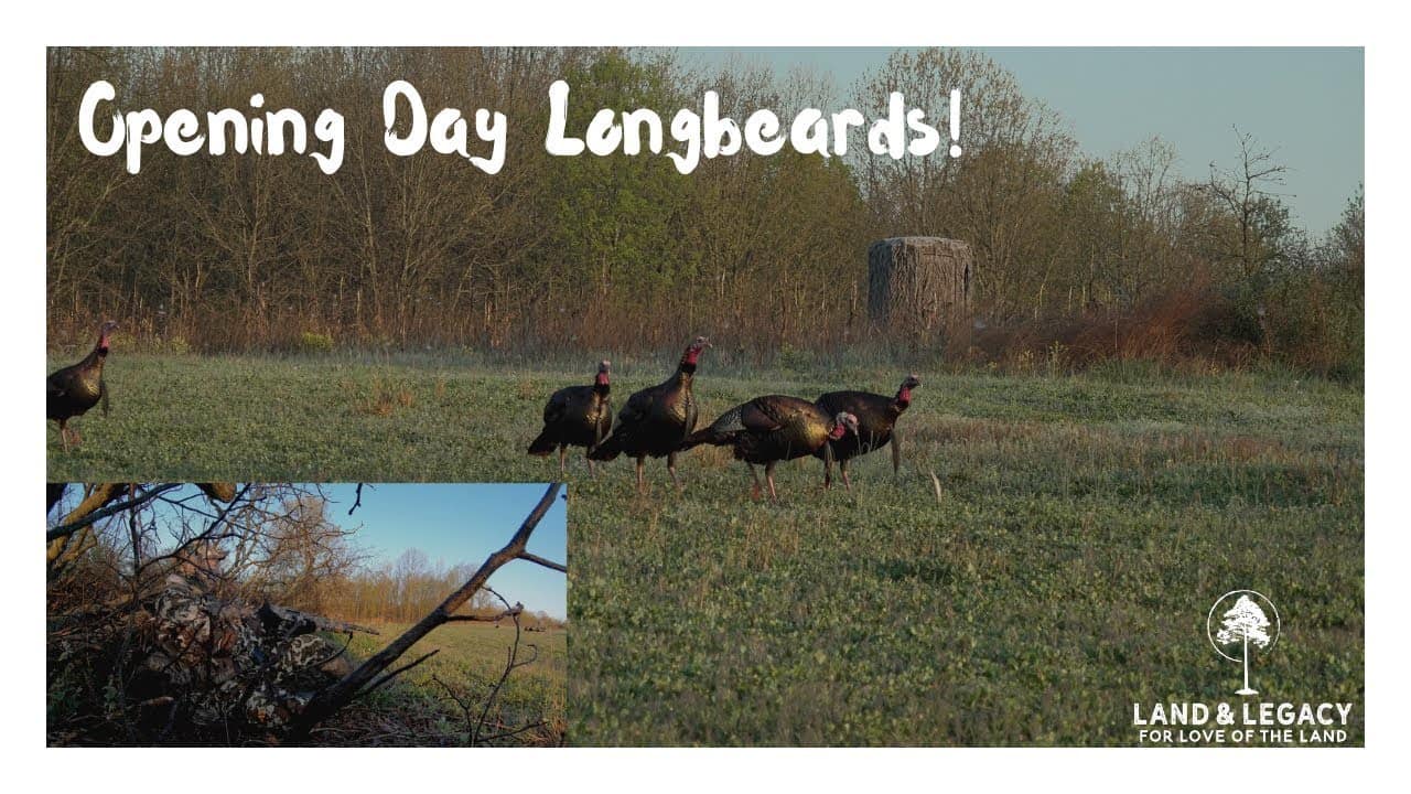 Missouri Turkey Hunting Opening Day Double! Land & Legacy