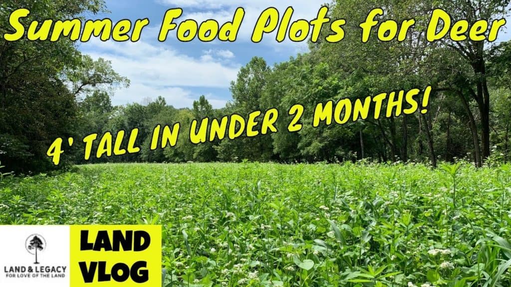 Food plot management