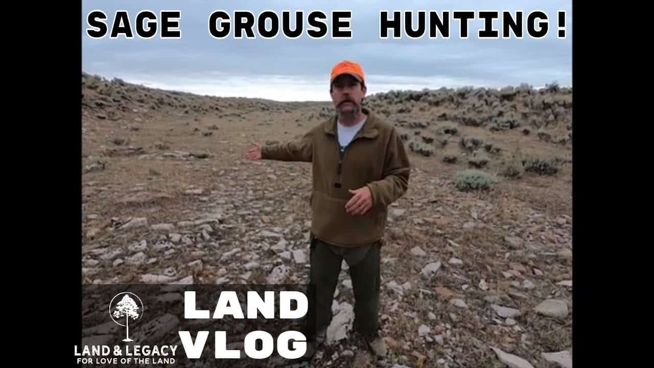 Read more about the article Wyoming Bird Hunting – Sage Grouse – Hunting for Habitat