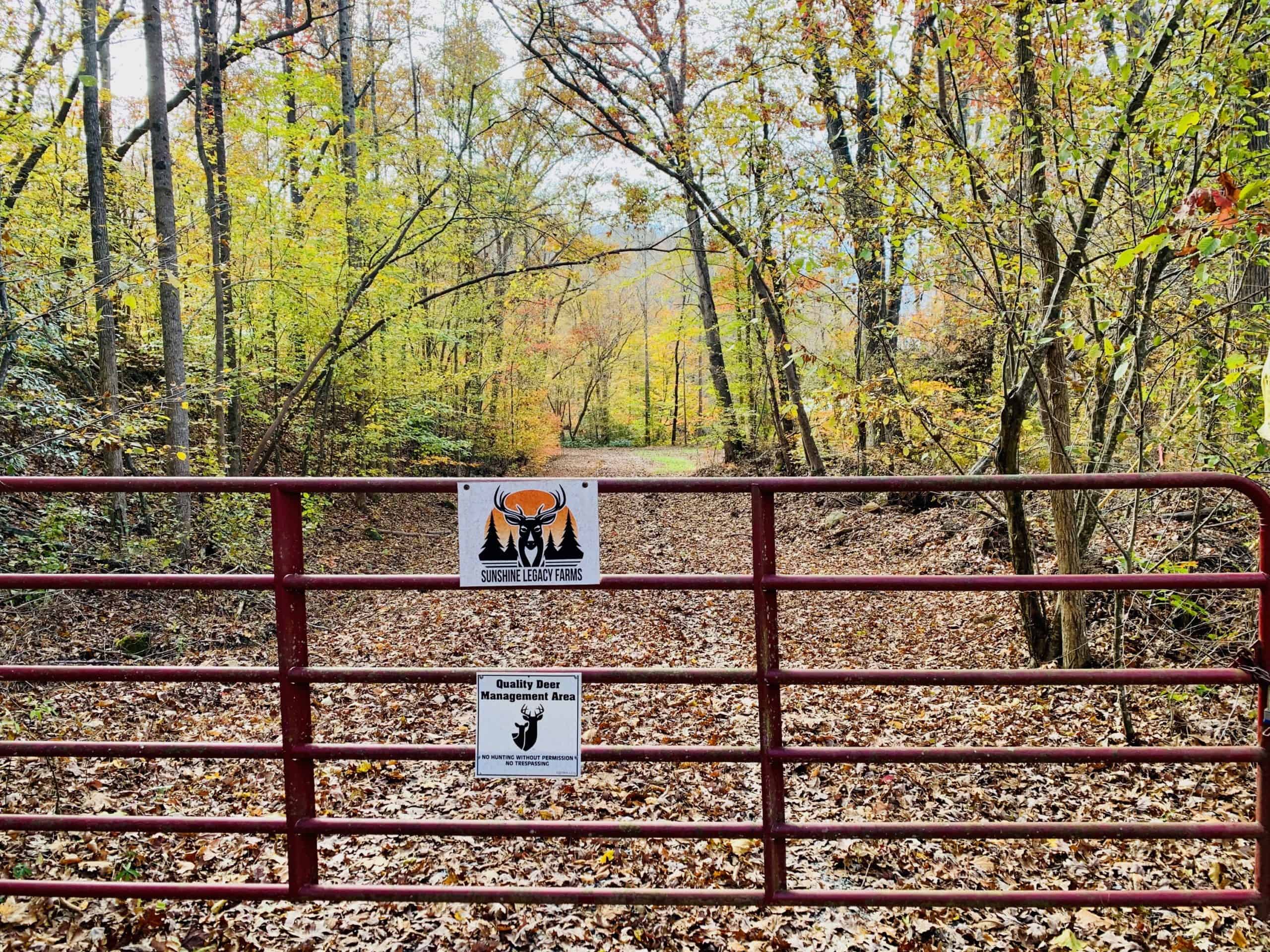 Read more about the article Hunting Success with Habitat Improvement
