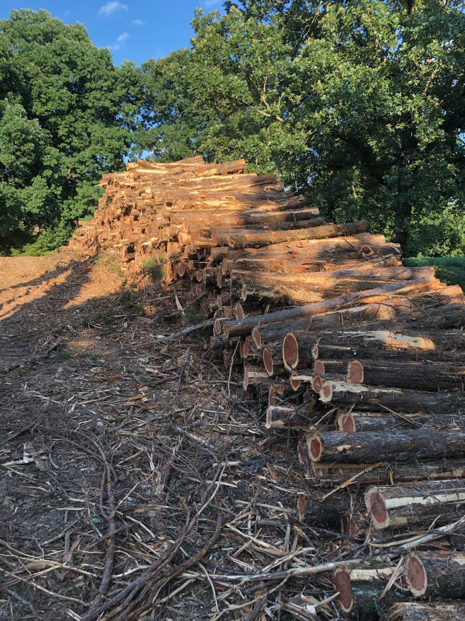 Massive Habitat Improvements in Kentucky Land & Legacy