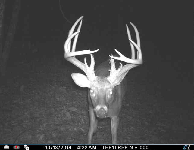 Read more about the article Missing a Hitlist Buck with a Bow