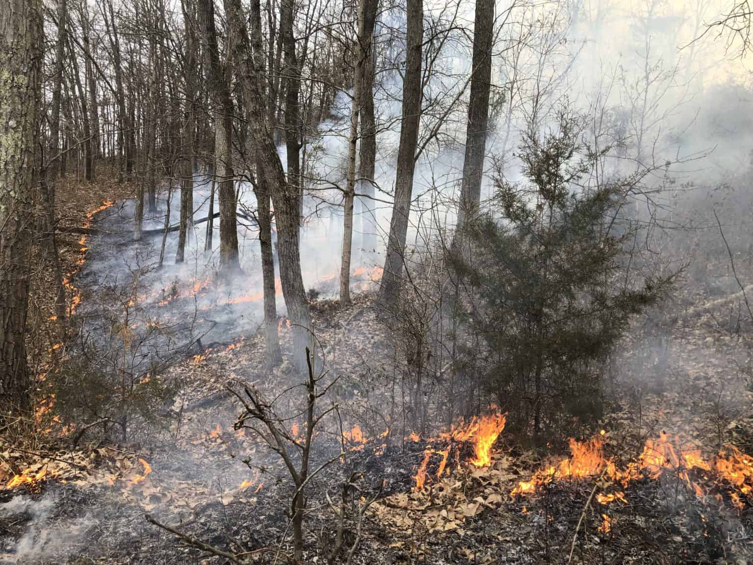 Prescribed Fire to Restore Landscapes and Ecosystems Land & Legacy