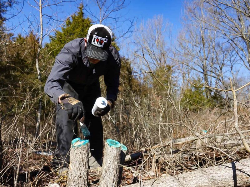 Consultation Land & Legacy Restoration Plans